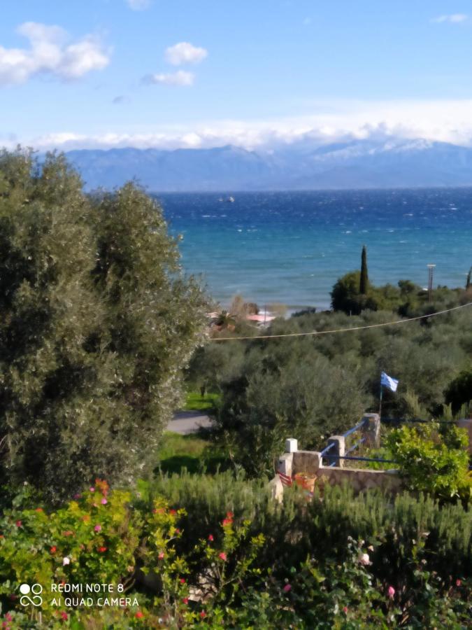 Villa Panorama Michalis Haikos Two Minutes Walk To The Beach Peroulia Kómboi Exteriér fotografie